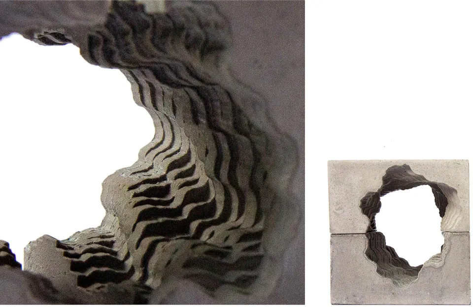 Fossil artwork