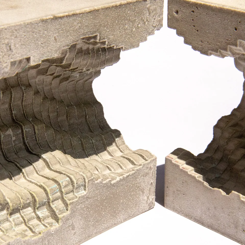 Fossil artwork