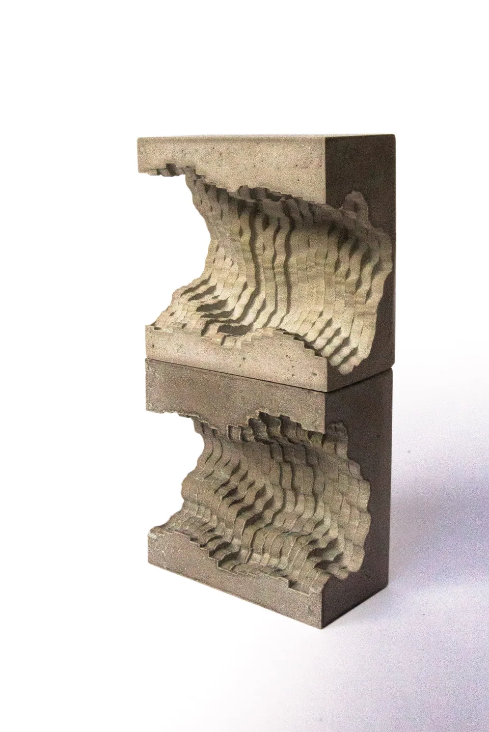 Fossil artwork